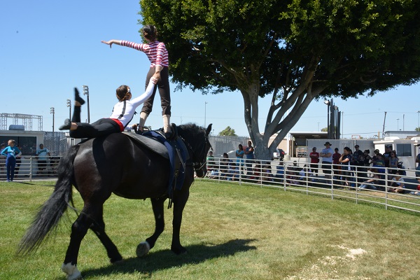 best vaulting pic2