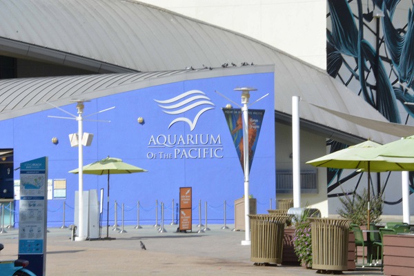 aquarium-of-the-pacific