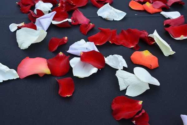 rose petals on a table