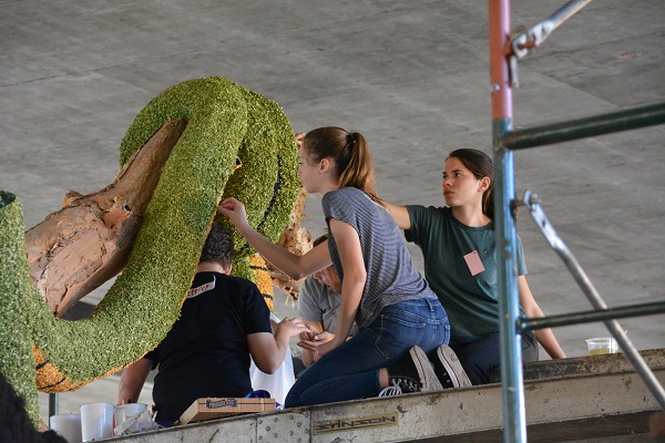 LCFTRA volunteers glue dried green leaves on the snake's body