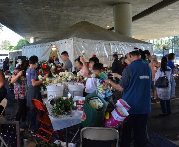 LCFTRA volunteers work with white roses