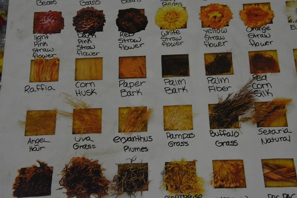 closeup of seed chart with dry materials for various colors and textures