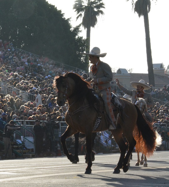 Los Hermanos Banuelos appear on horseback for the 129th Rose Parade