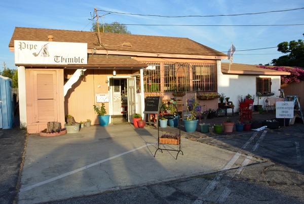 Piep & Thimble bookstore in sunlight