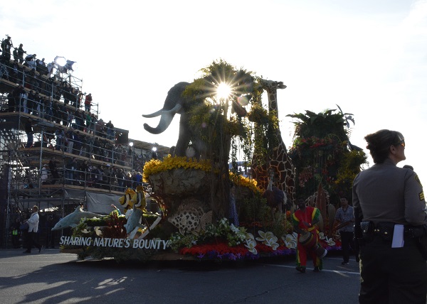 Dole float with elephant and giraffe approaches Colorado Boulevard