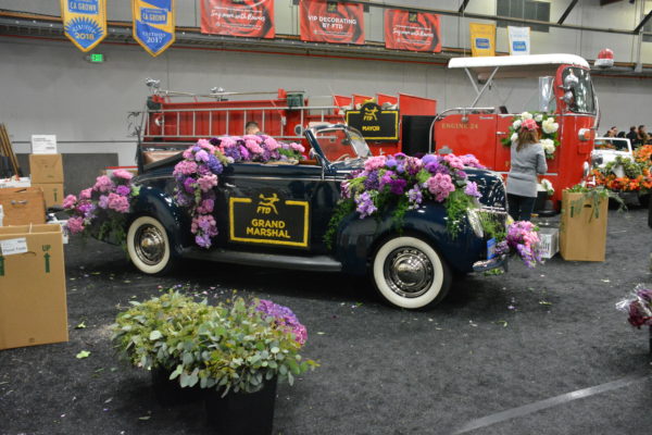 Vintage open automobile with whitewall tires stands decorated with flowers next to a 1967 vintage fire engine at Rose Parade® ""Decorating Places" site