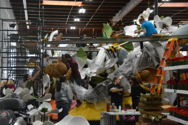 Volunteers atop scaffolding, gluing white coconut to flowers on Blue Diamond Almonds Rose Parade®float