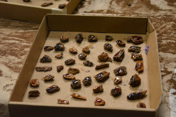 Closeup of bits of tree bark, covered with glue, in a corrugated-cardboard boxtop