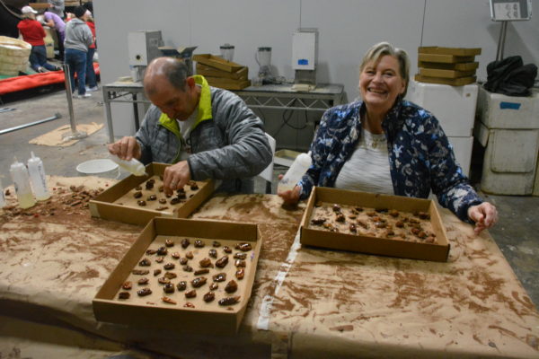 A man concentrates on a box top full of bits of bark with glue and a woman smiles up from her box top from behind a table as they volunteer to decorate the Blue Diamond Almonds Rose Parade® float