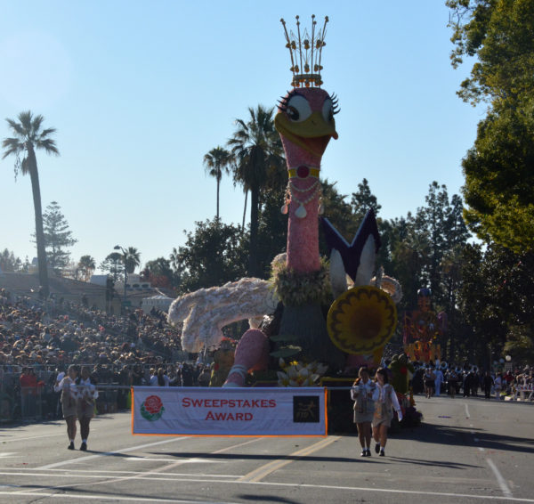 Pink ostrich float with crown on its head behind a banner with "Sweepstakes Award"