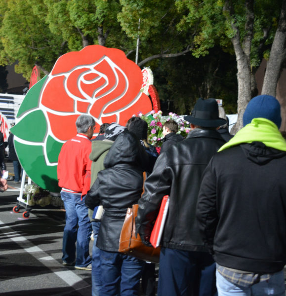 Line of paradegoers in front of red rose emblem with green leaves in predawn hours