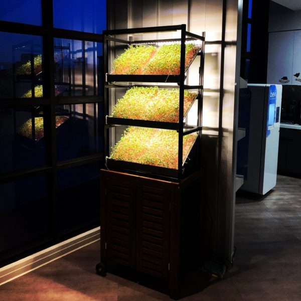 InHouse Produce crops growing in vertical indoor farming setup by a window at night