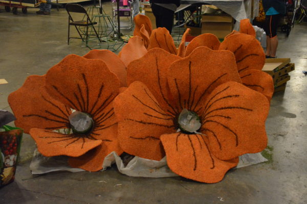 Detailed orange flowers on the floor at Fiesta Parade Floats