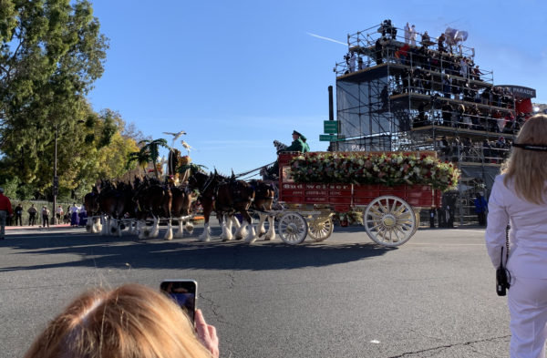 The Budweiser Clydesdales pull a stagecoach past the reviewing stand