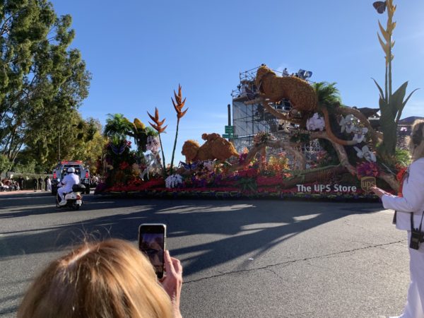 UPS Store float, "Stories Change Our World", features golden lion tamarins and lush wild foliage as it passes the reviewing stand