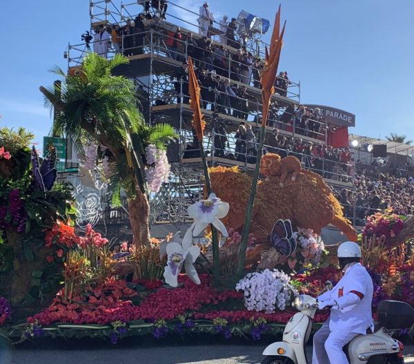 Closeup of golden lion tamarins and giant orchids on the UPS "Stories Change Our World" float