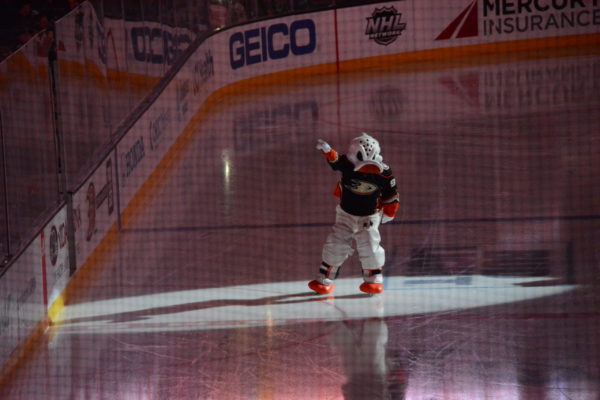 Wild Wing waves as he skates in a spotlight