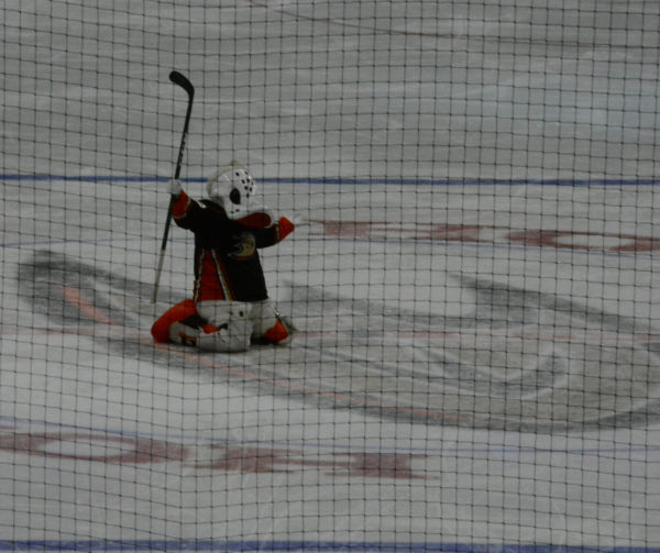 Wild Wing on his knees on the ice