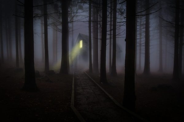 One light shines through trees from upper window of a house in foggy woods