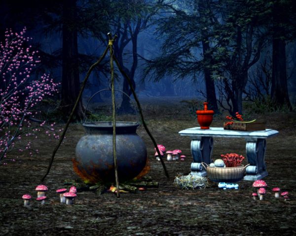 Cauldron sits in the middle of dark woods with red mortar and pestle on a stone table beside it