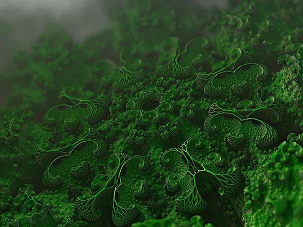 Flowerlike green microbial formation against a green background