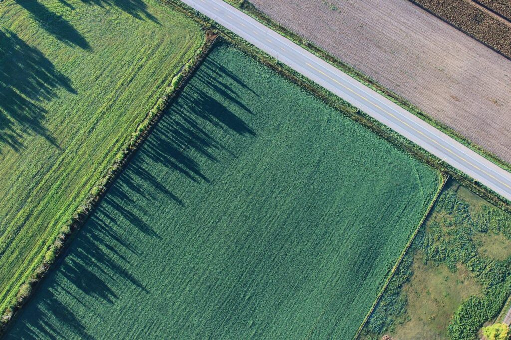 Aerial view of green, neatly-plowed squares of fields with a white road