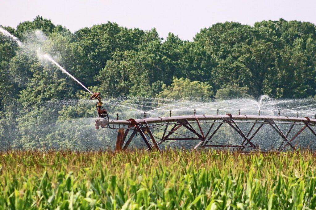 Irrigation system sprays water over field of green crops