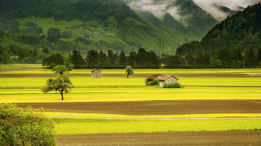 A barn and small farmhouse in the middle of a rolling field with mountains in the background.