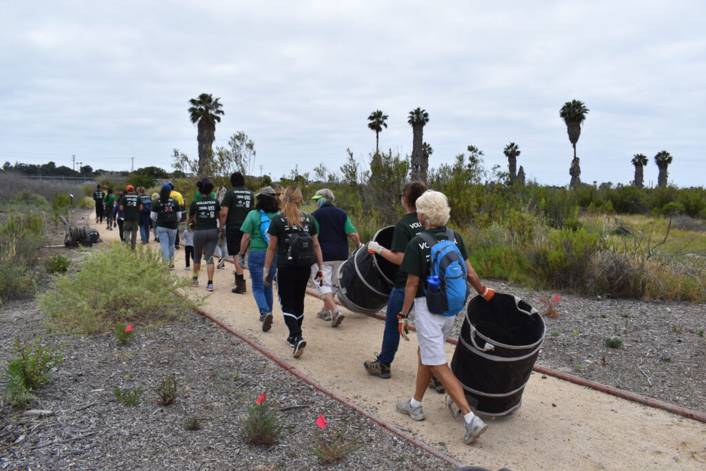 Volunteers pulling large black trash barrels on wheels walk down a path to Los Cerritos Wetlands
