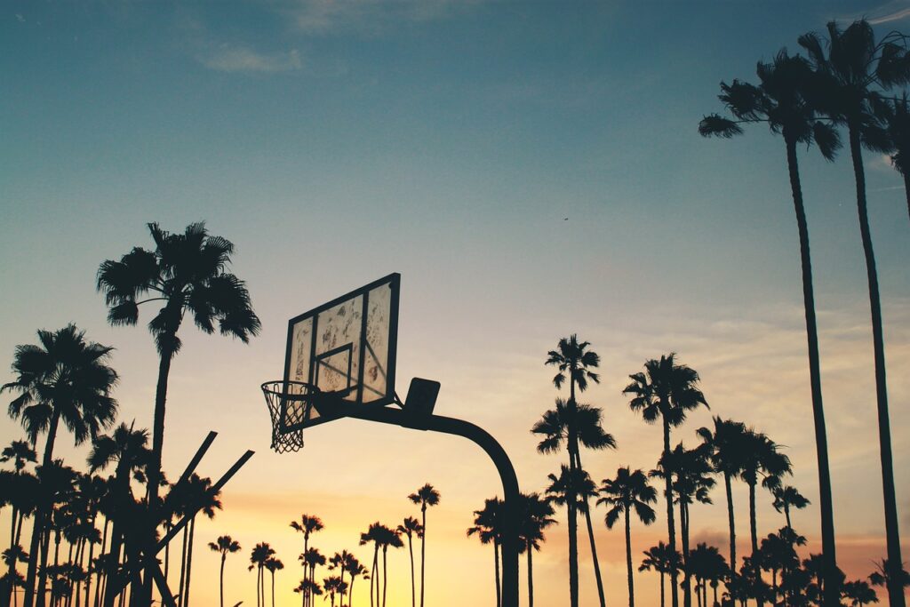 Basketball backgoard against sunset sky with palm trees in background